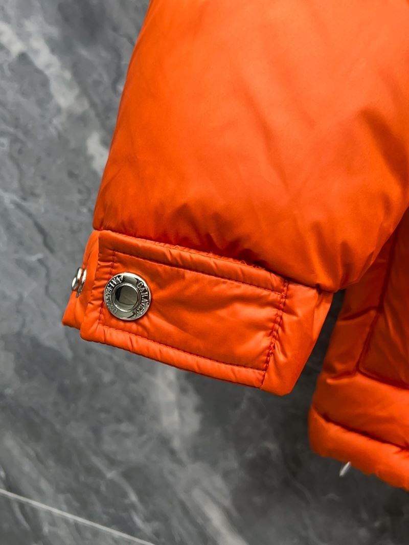 Louis Vuitton Down Jackets